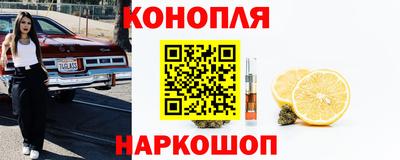 винт Будённовск