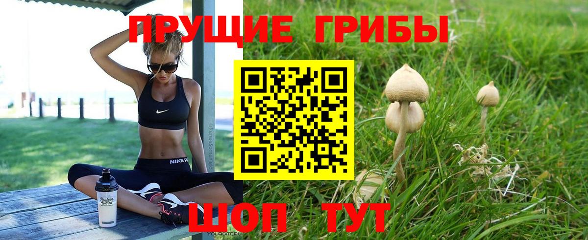 Галлюциногенные грибы MAGIC MUSHROOMS  Вход с VPN  Североморск  Галлюциногенные грибы Psilocybe 